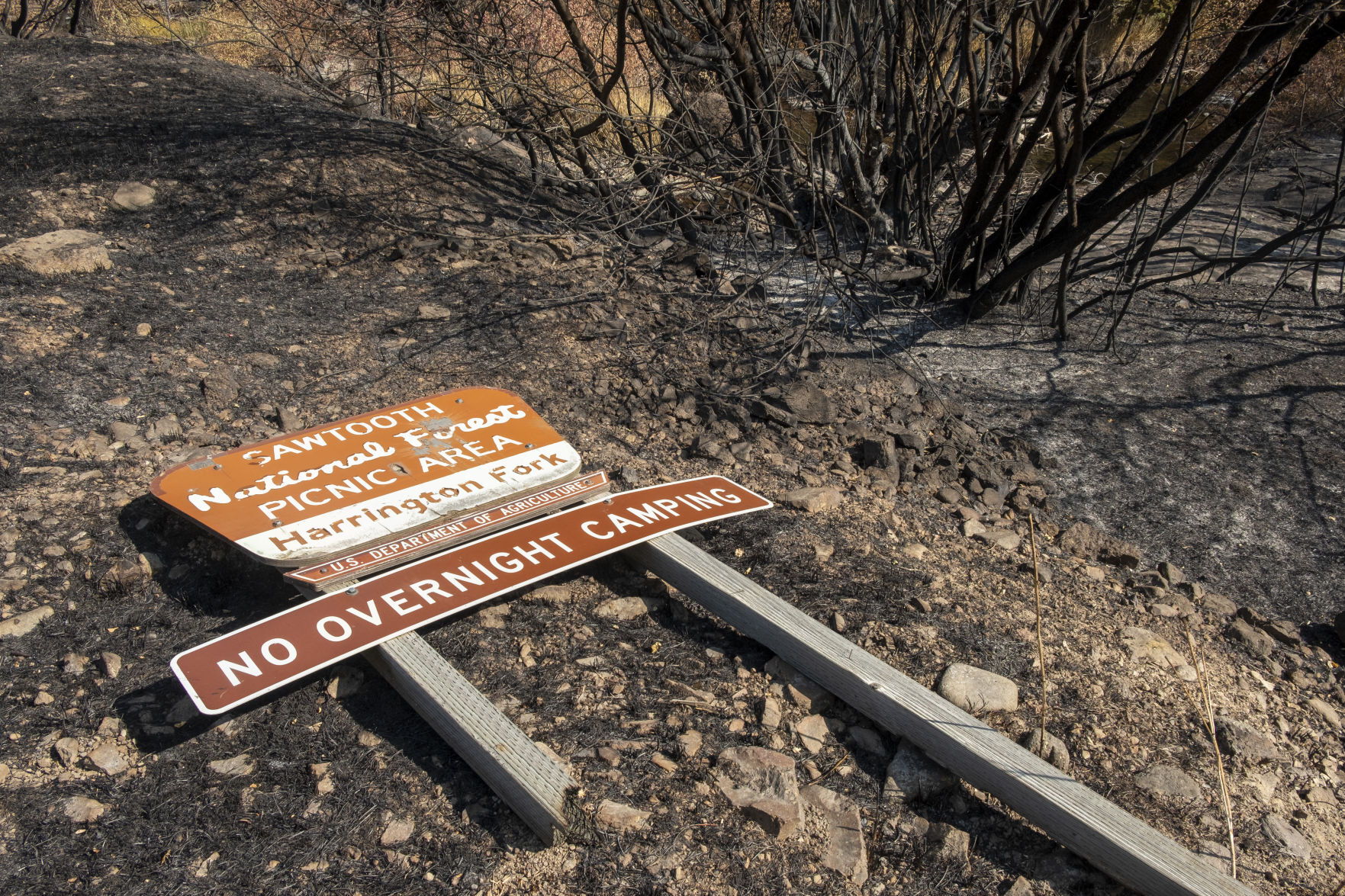 Rock Creek Canyon burn areas